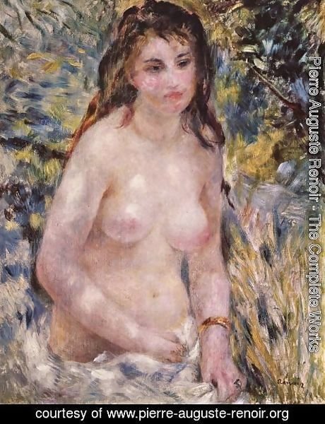 Pierre Auguste Renoir - Nude in the Sun