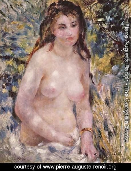 Pierre Auguste Renoir - Nude in the Sun Francais