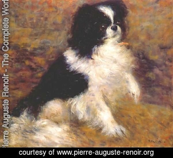 Pierre Auguste Renoir - Tama the japanese dog