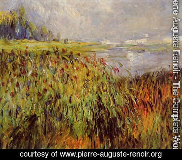 Pierre Auguste Renoir - Bulrushes On The Banks Of The Seine