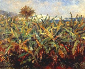 Pierre Auguste Renoir - Field Of Banana Trees