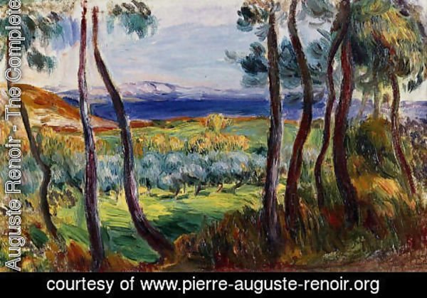 Pierre Auguste Renoir - Pines In The Vicinity Of Cagnes