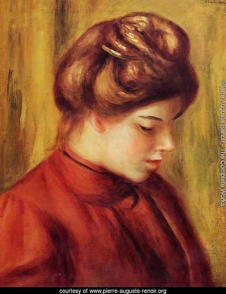 Profile Of A Woman In A Red Blouse