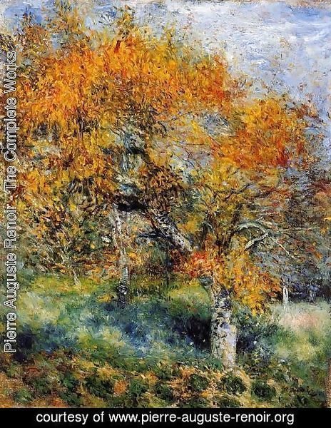 Pierre Auguste Renoir - The Pear Tree