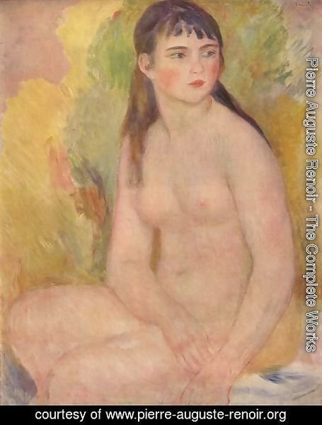 Pierre Auguste Renoir - Nude female