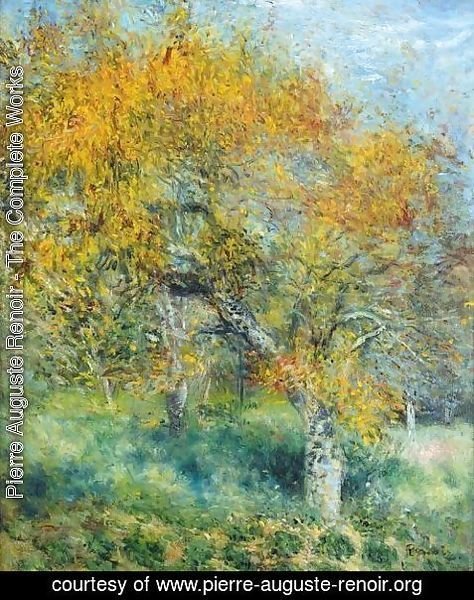 Pierre Auguste Renoir - Le Poirier