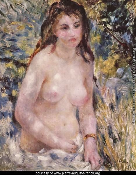 Nude in the Sun Francais