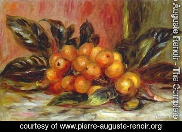 Pierre Auguste Renoir - Medlar Branch