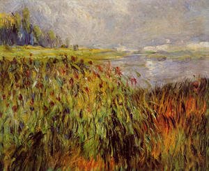 Bulrushes On The Banks Of The Seine